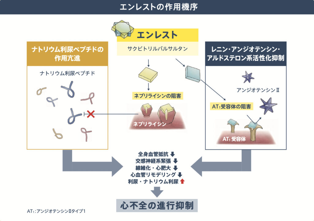 エンレスト 錠