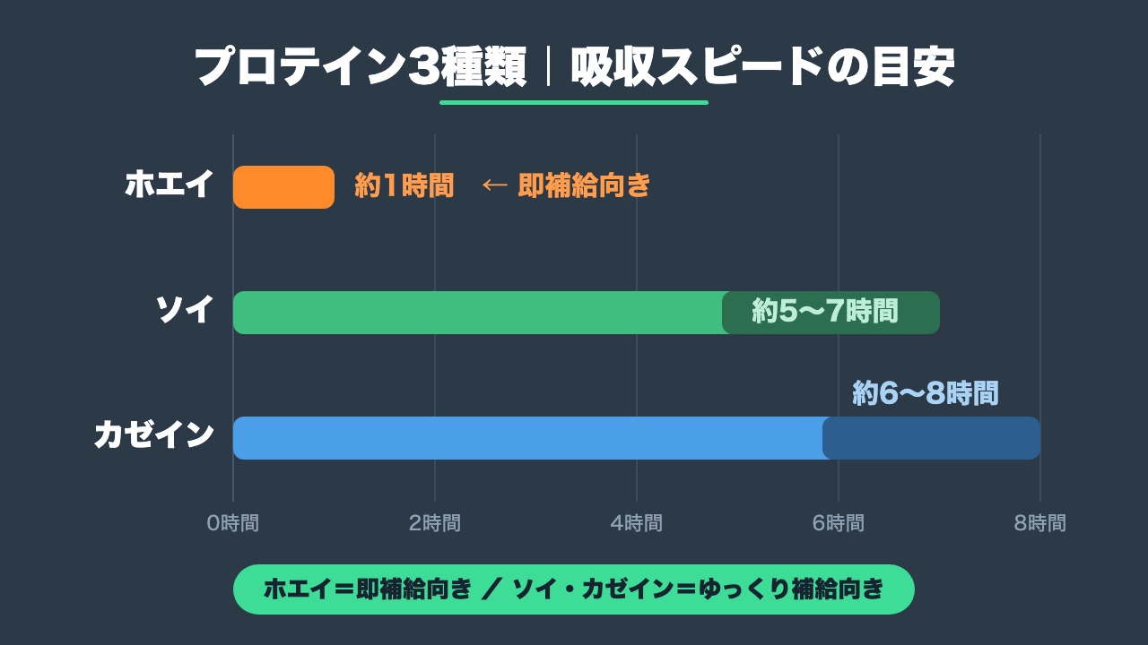 ホエイ・カゼイン・ソイの吸収スピード比較