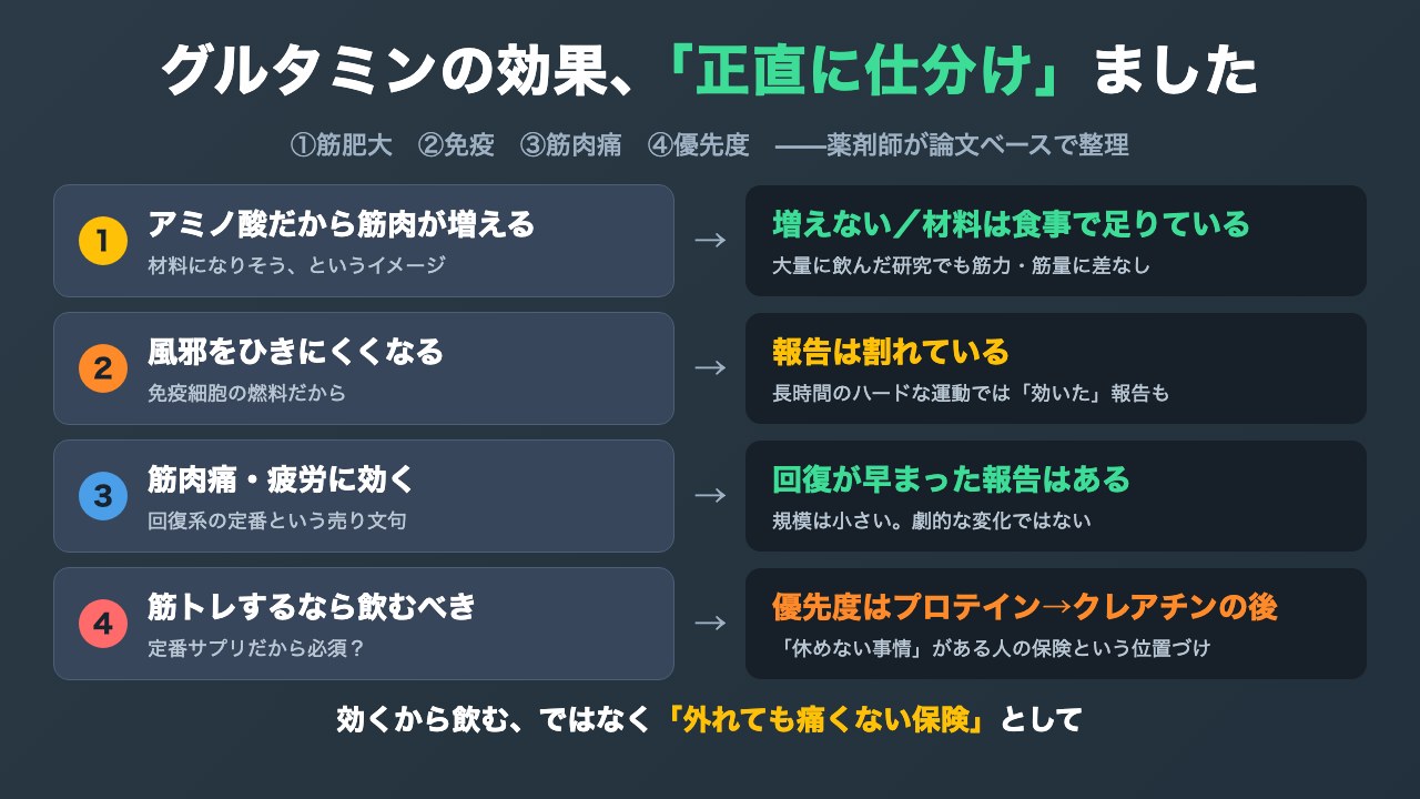 グルタミンに期待される4つの効果(筋肥大・免疫・筋肉痛・腸)と研究の結論を対比した図解