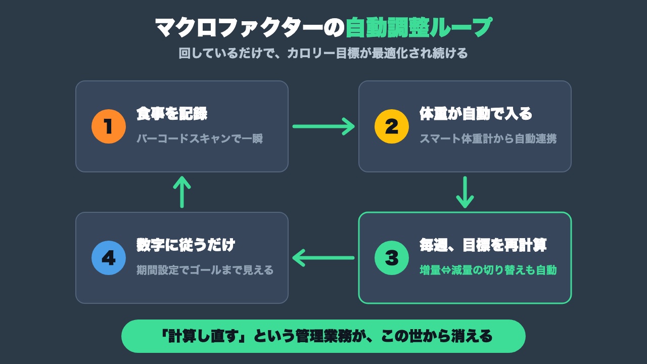 マクロファクターの自動調整ループの図解