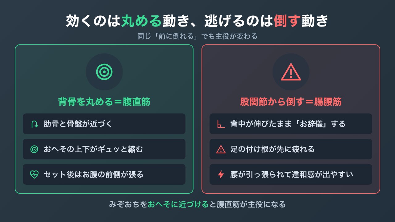 腹直筋と腸腰筋が働く動きの違いの図解