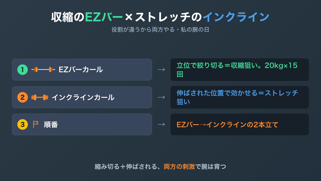 EZバーカールとインクラインダンベルカールの役割分担の図解