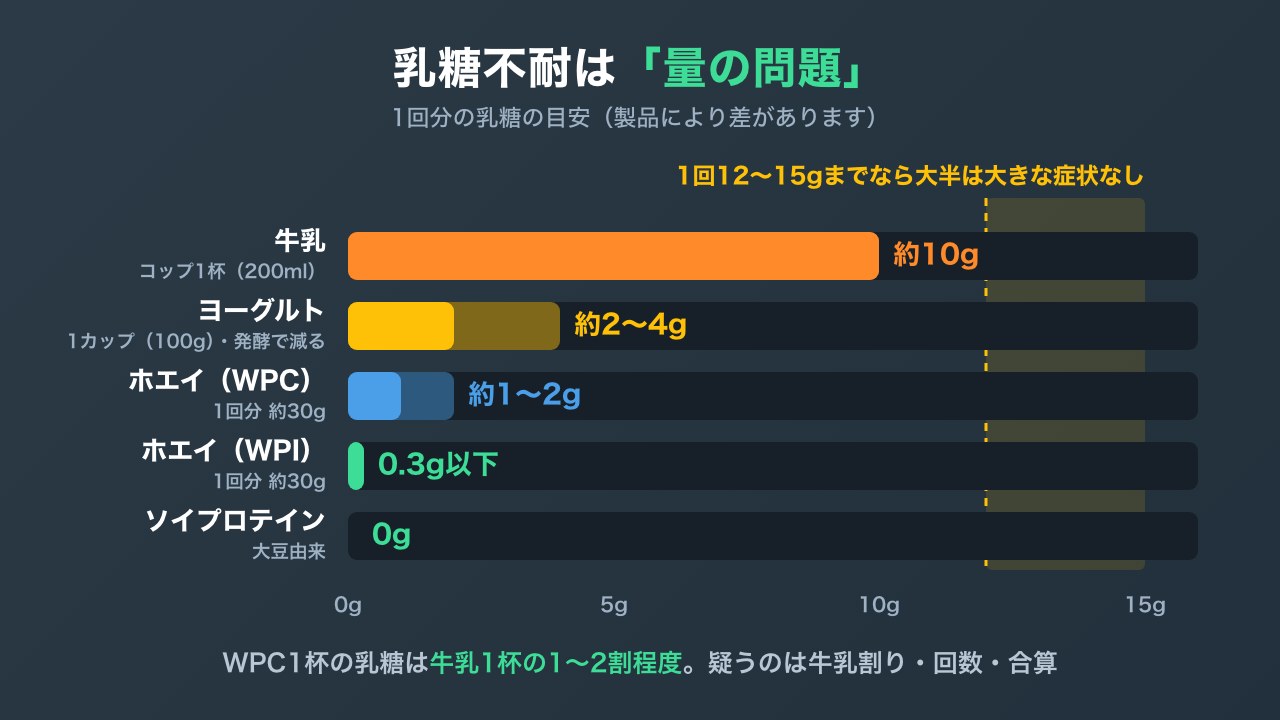 牛乳・ヨーグルト・WPC・WPI・ソイの1回分の乳糖量と、1回12〜15gまでなら大半は平気という目安を比べた図解