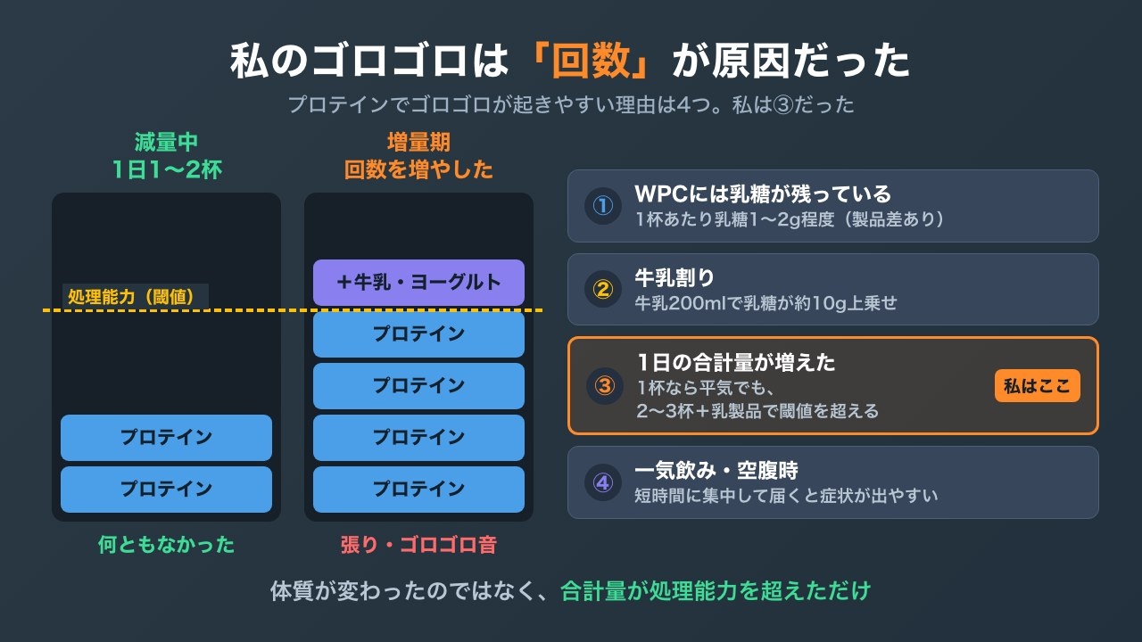 増量期にプロテインの回数を増やして乳糖の合計量が処理能力を超えた私の例と、ゴロゴロが起きやすい4つの理由を示した図解