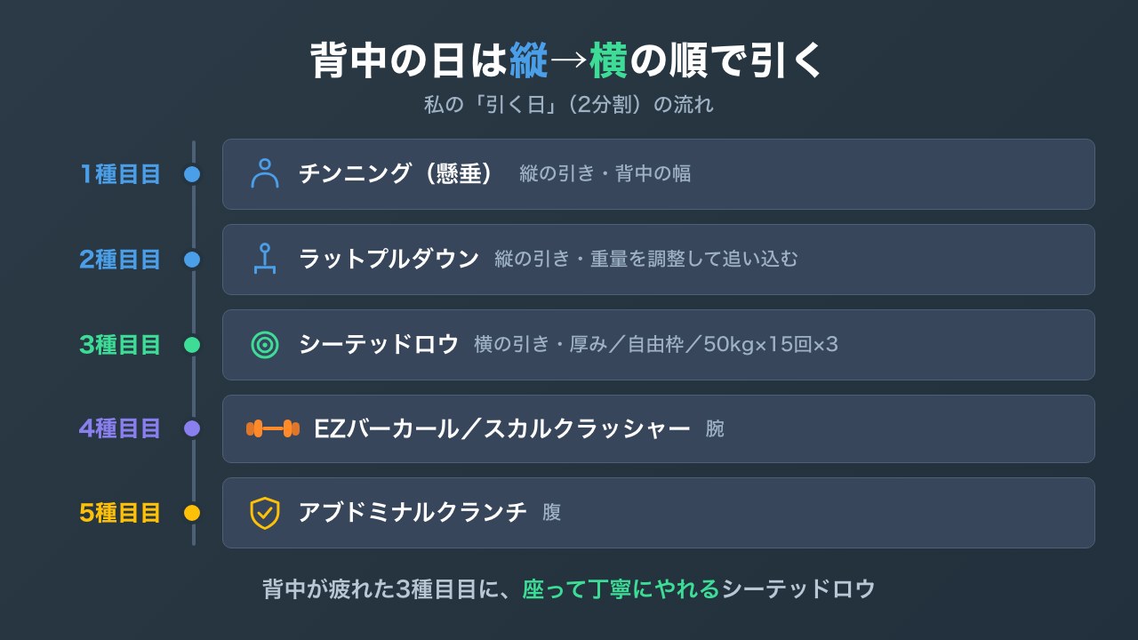 背中の日の種目の流れとシーテッドロウの位置の図解