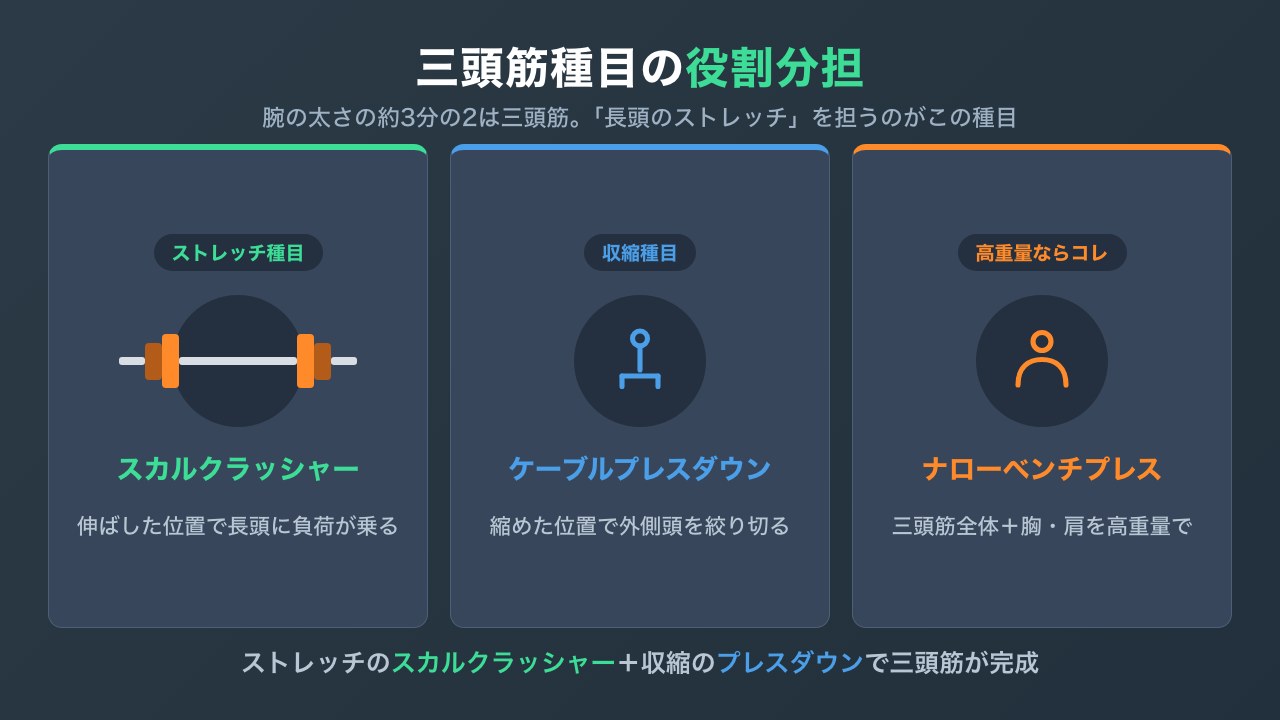 三頭筋の長頭とスカルクラッシャーの関係の図解